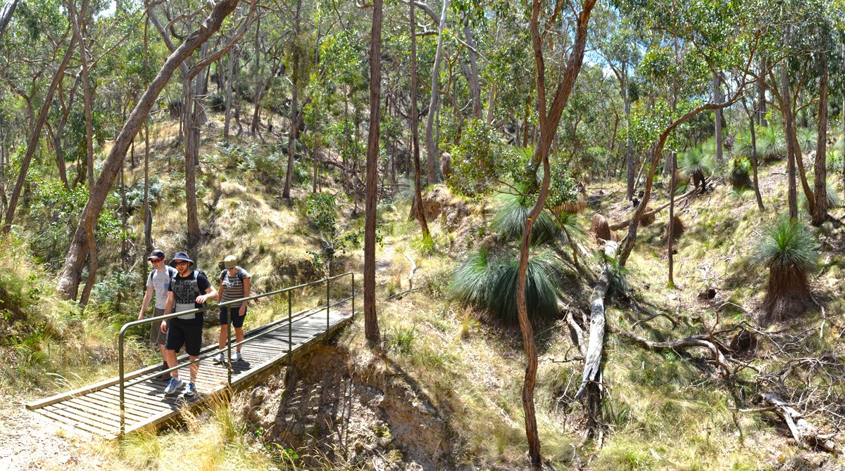 The Grass Tree Walk - Brisbane Ranges National Park - Victoria - Australia