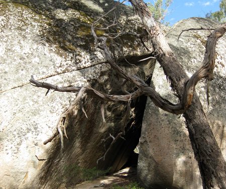 Lar-ne-Jeering Walk – Langi-Ghiran State Park – Victoria