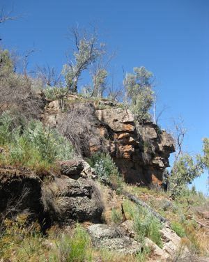Paradise Falls Walk – Alpine National Park – Victoria