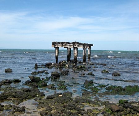 Point Cooke & Cheetham Wetlands – Victoria