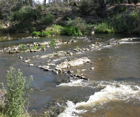 Melbourne Park Walk: Sweeneys Flats to Griffith Park – Eltham – Victoria