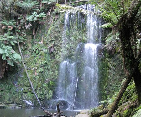 Beauchamp Falls – Great Otway National Park – Lavers Hill – Victoria