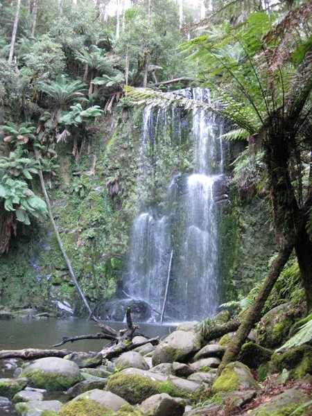 Beauchamp Falls – Great Otway National Park – Lavers Hill – Victoria