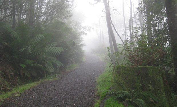 Camel’s Hump Summit – Macedon Regional Park – Mount Macedon – Victoria