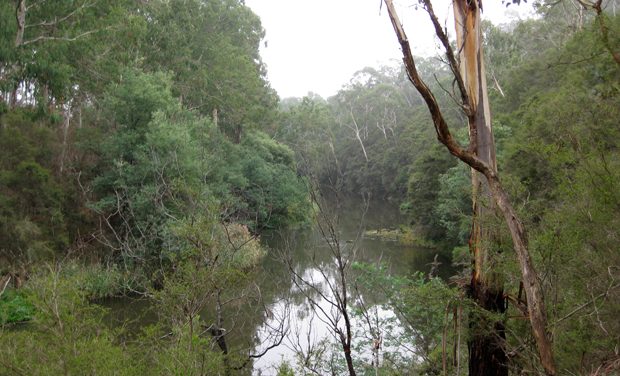 Jumping Creek Nature Trail – Warrandyte State Park – Warrandyte