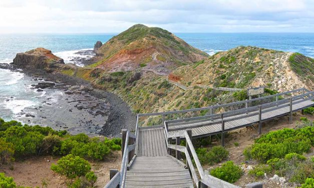 Cape Schanck Walk (Mornington Peninsula National Park)