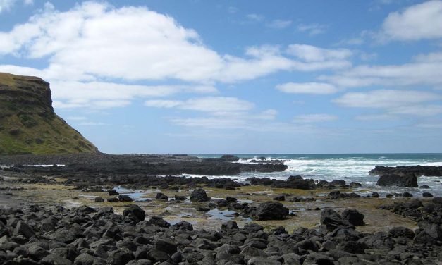 Tea Tree Creek Walk (Mornington Peninsula National Park)