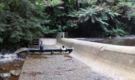 Badger Weir Circuit – Yarra Ranges National Park – Healesville – Victoria