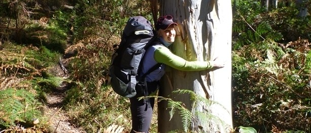 The bushwalking nemesis: A Blue Mountains trail that makes hikers groan