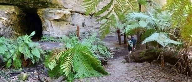 A week in the Blue Mountains – Part 5: The Newnes Glow Worm Tunnel & Wolgan View Canyon with Blue Mountains Guides