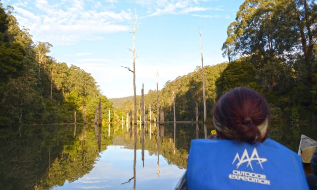 An Otways Long Weekend – Part 3: E-biking, platypus spotting, and Carisbrook Falls