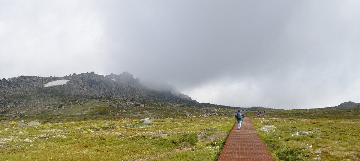Mount Kosciuszko Summit Hike