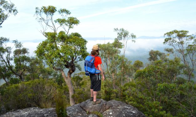 Hiking Pigeon House Mountain (Didthul): Baptism by fire