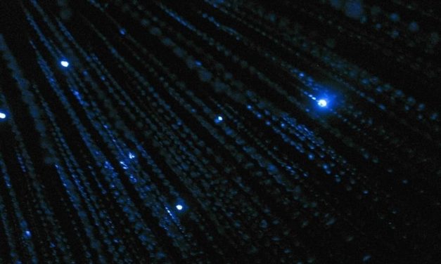 The 4 best places to see glow worms on the Great Ocean Road