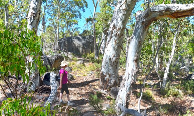 Kosciuszko National Park: A weekend at Boali Lodge in Thredbo – Part 2