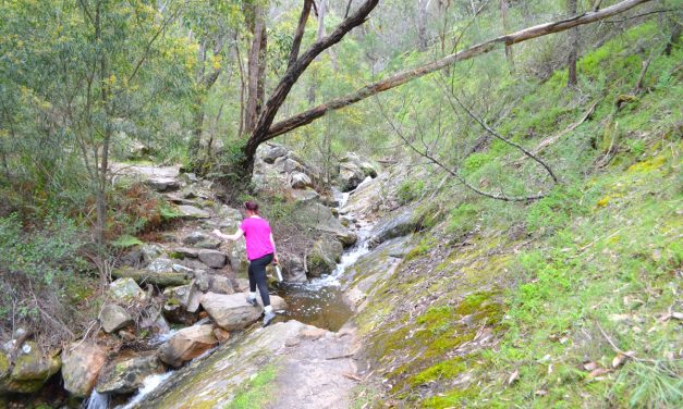 Chatauqua Peak Loop Walk – Grampians National Park – Victoria (Bare Bones Bushwalking)
