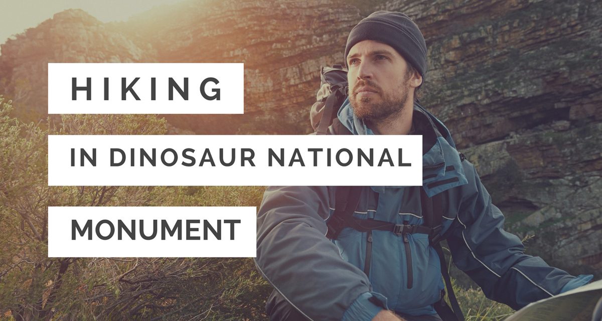 A comprehensive guide to hiking in Dinosaur National Monument (USA)