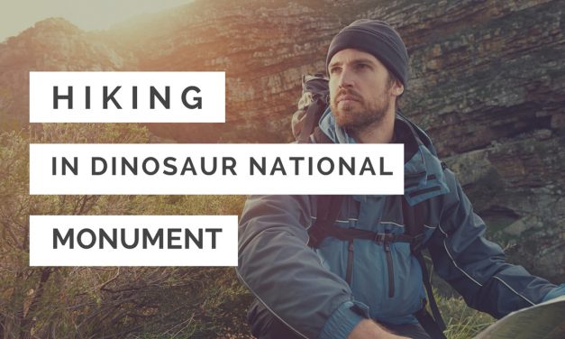 A comprehensive guide to hiking in Dinosaur National Monument (USA)