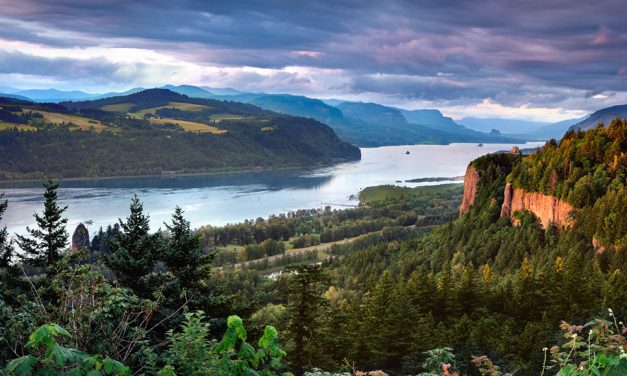 5 of the best trails in Columbia River Gorge National Scenic Area (Oregon, USA)