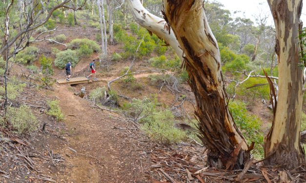 The Island – Werribee Gorge State Park – Victoria (Bare Bones Bushwalking)