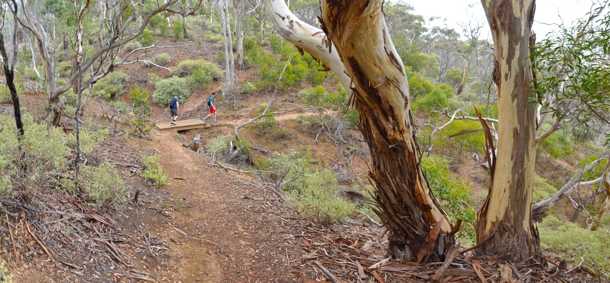 The Island – Werribee Gorge State Park – Victoria (Bare Bones Bushwalking)
