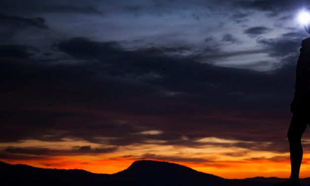 Review: Energizer Vision HD+ Focus LED Head Torch (250 Lumens)