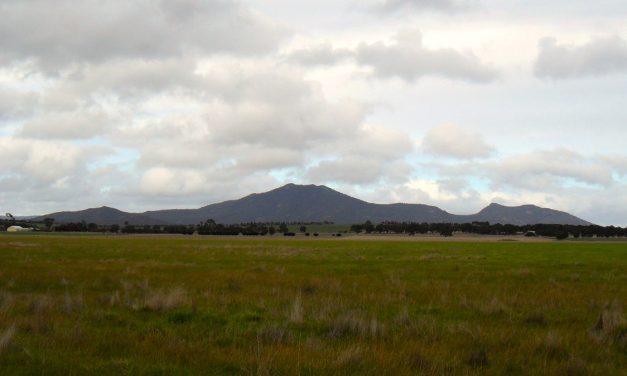 Langi Ghiran Summit Hike: Up On The Baby Bump