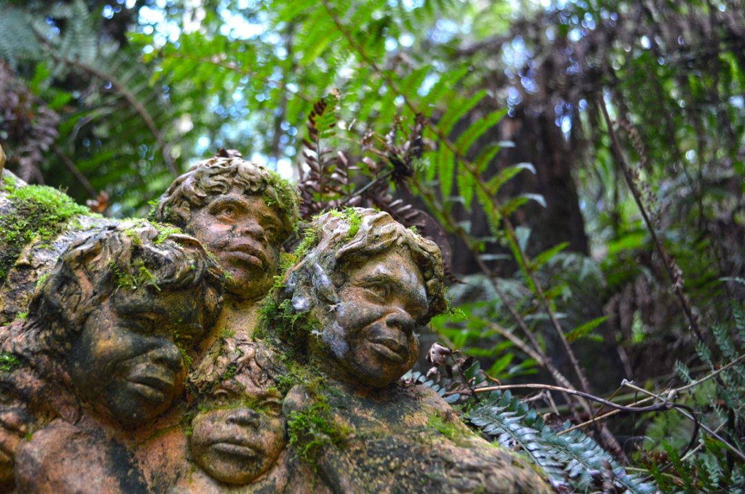 William Rackets William Ricketts Sanctuary: Dandenong Ranges National Park (Victoria ...