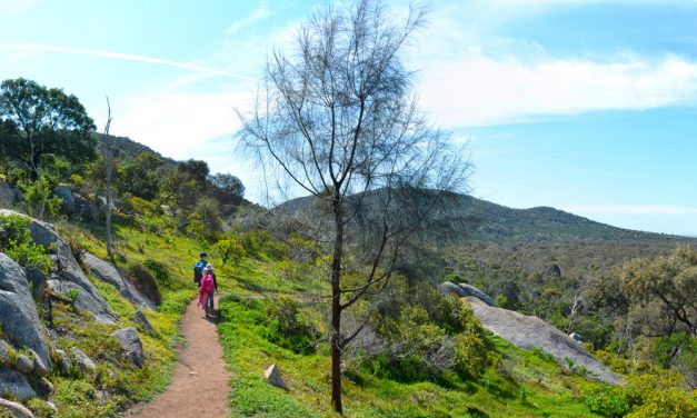 Branding Yard Trail – You Yangs Regional Park – Victoria (Bare Bones Bushwalking)