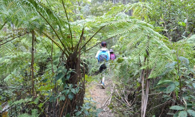Lerderderg Heritage River Walk – Wombat State Forest – Blackwood (Victoria)