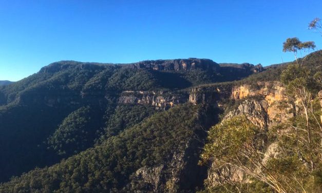 When shit happens: Reflections from a PLB rescue in the Budawangs