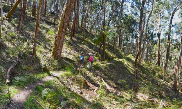 The Tunnel – Lerderderg State Park – Victoria (Bare Bones Bushwalking)