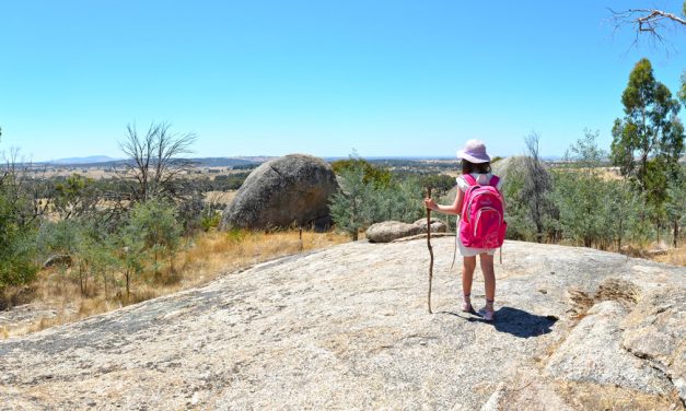 Black Hill Ridge Circuit – Black Hill Reserve – Kyneton (Bare Bones Bushwalking)