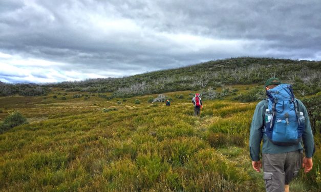 Lake Tali Karng via McFarlane’s Saddle – Victoria’s Alpine National Park