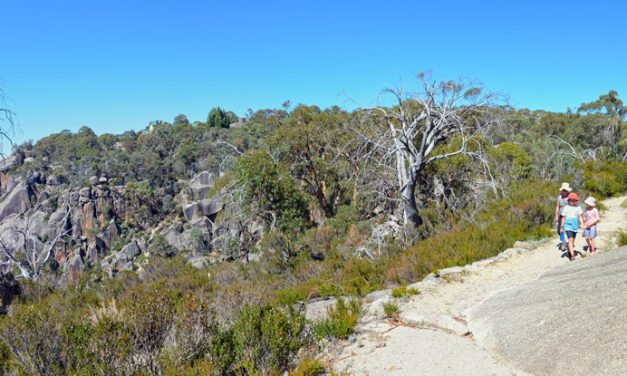 Gorge Heritage Walk – Mount Buffalo National Park – Victoria (Bare Bones Bushwalking)
