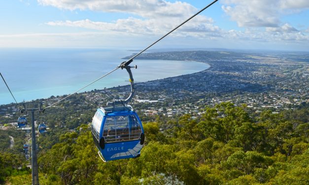 The Arthurs Seat Eagle (and Arthurs Seat walks) – Mornington Peninsula