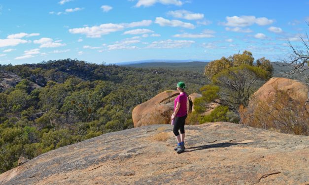 Melville Caves Southern Lookout Walking Track – Kooyoora State Park – Victoria (Bare Bones Bushwalking)