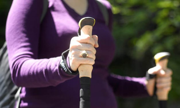Review: Montem Ultra Strong Trekking Poles
