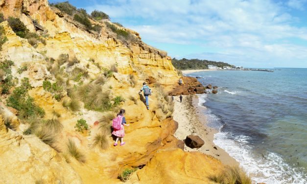 Red Bluff Circuit Walk, Sandringham – Victoria (Bare Bones Bushwalking)