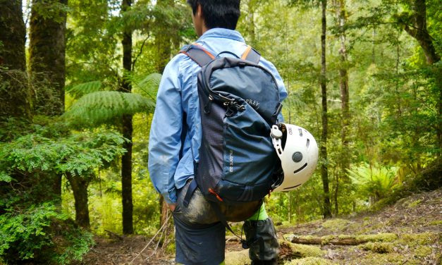 Review: Osprey Mutant 22L Backpack