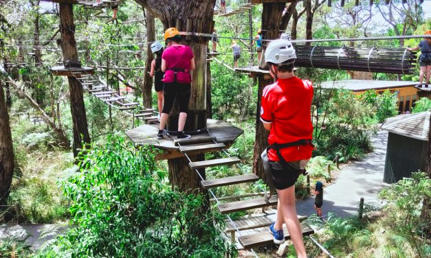 Tree Surfing at the Mornington Peninsula’s Enchanted Adventure Garden (Arthurs Seat, Victoria)