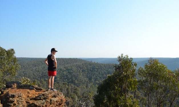 Ted Errey Nature Circuit – Brisbane Ranges National Park (Victoria)