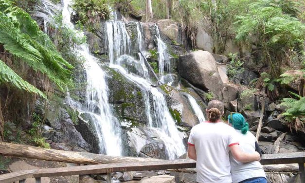 Toorongo Falls Circuit Walk (Toorongo Falls Reserve) & Noojee Trestle Bridge: Walking and Camping in Gippsland