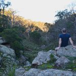 Conglomerate Gully Walking Track (Riddells Creek, Victoria)