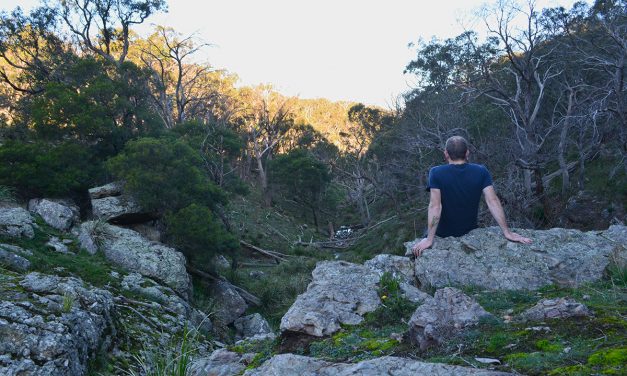 Conglomerate Gully Walking Track (Riddells Creek, Victoria)
