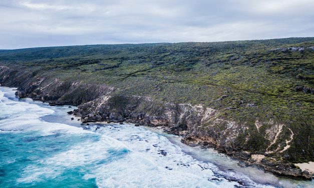 Hiking Perth: An ultimate guide to the best bushwalks Perth has to offer
