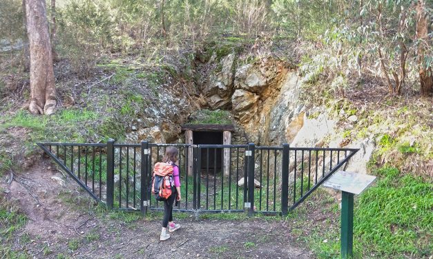 Gold Heritage Walk: Warrandyte State Park (Victoria)