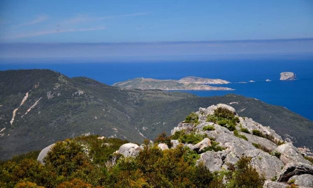 Hiking Wilsons Promontory National Park: The best Wilsons Prom walks for all ages and abilities