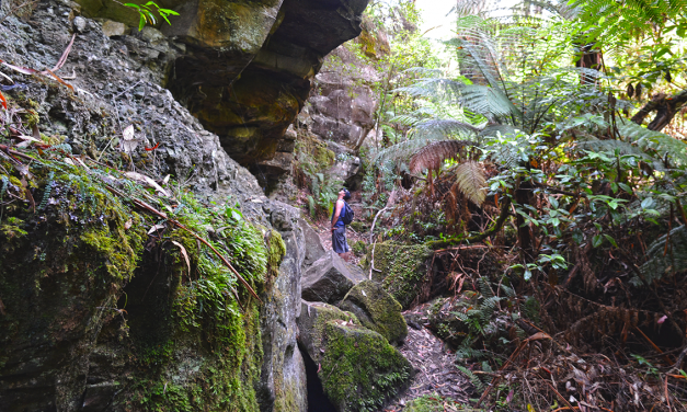 The Canyon Hike (aka Lorne Waterfalls Circuit) – Great Otway National Park, Lorne, Victoria