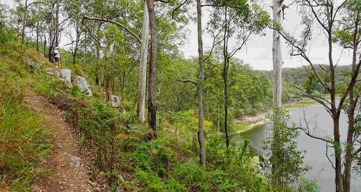Gold Creek Reservoir Walk: A Gem in Brisbane’s West